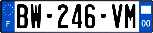 BW-246-VM