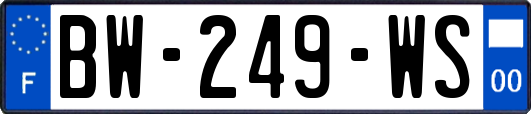 BW-249-WS