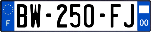 BW-250-FJ