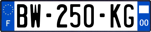 BW-250-KG
