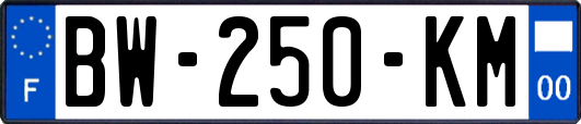 BW-250-KM