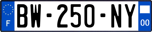 BW-250-NY