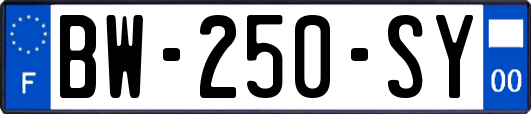 BW-250-SY