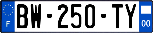 BW-250-TY