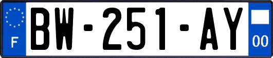 BW-251-AY