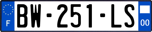 BW-251-LS