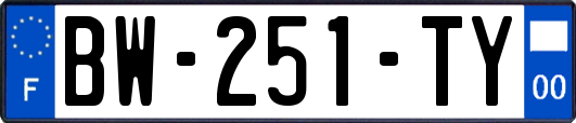 BW-251-TY