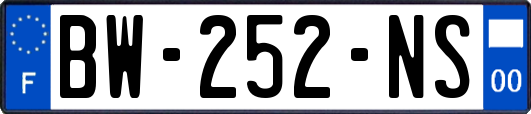 BW-252-NS