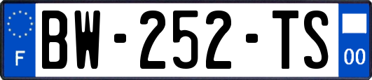BW-252-TS