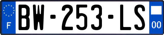 BW-253-LS