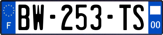 BW-253-TS
