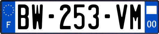 BW-253-VM