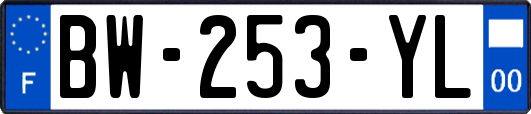 BW-253-YL