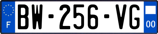 BW-256-VG