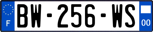 BW-256-WS