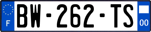 BW-262-TS