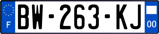 BW-263-KJ