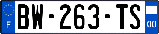 BW-263-TS