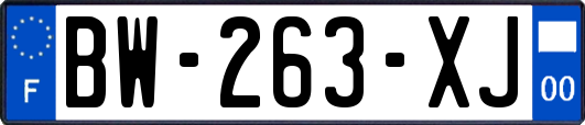 BW-263-XJ