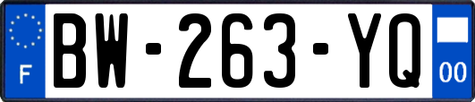BW-263-YQ