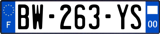 BW-263-YS