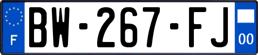 BW-267-FJ