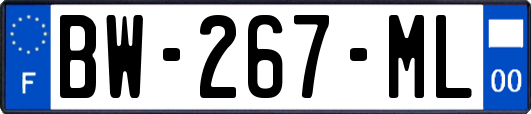 BW-267-ML