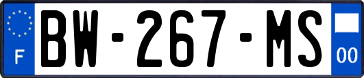BW-267-MS