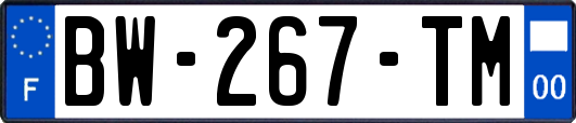 BW-267-TM