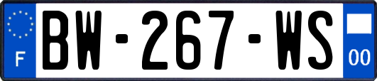 BW-267-WS