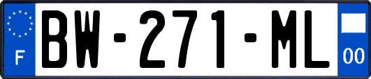 BW-271-ML
