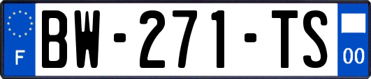 BW-271-TS
