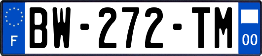 BW-272-TM