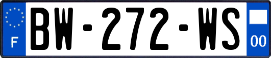 BW-272-WS