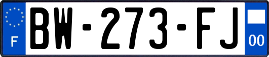 BW-273-FJ