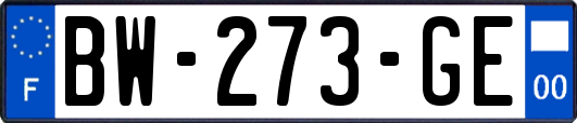 BW-273-GE