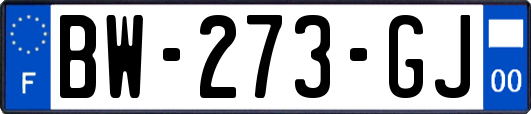 BW-273-GJ