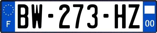 BW-273-HZ