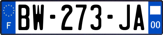 BW-273-JA