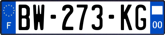 BW-273-KG