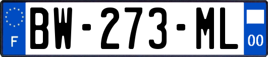BW-273-ML