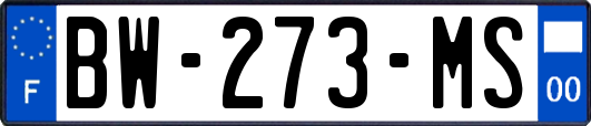 BW-273-MS