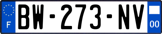BW-273-NV