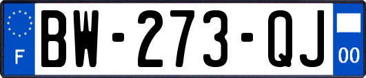 BW-273-QJ