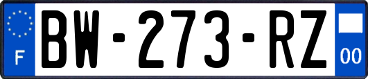 BW-273-RZ