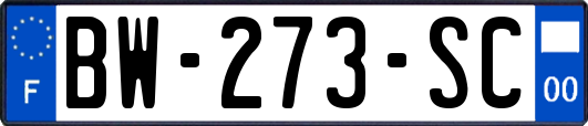 BW-273-SC