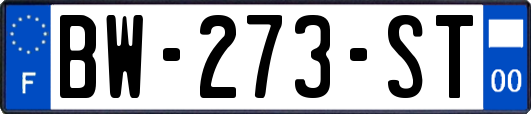 BW-273-ST