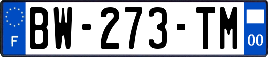 BW-273-TM