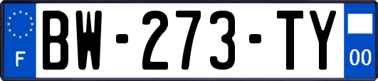 BW-273-TY