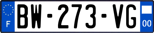 BW-273-VG